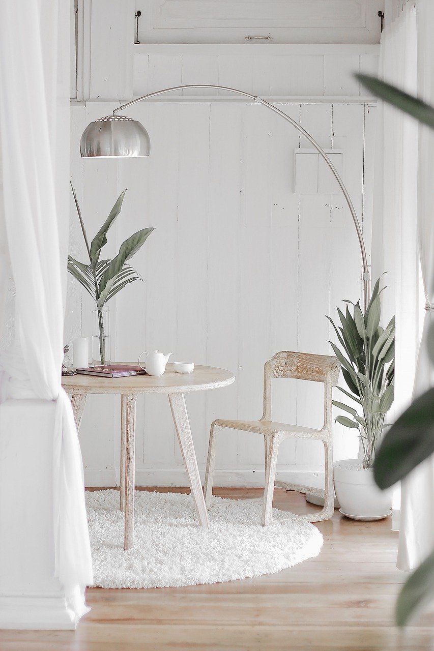 plant, design, home